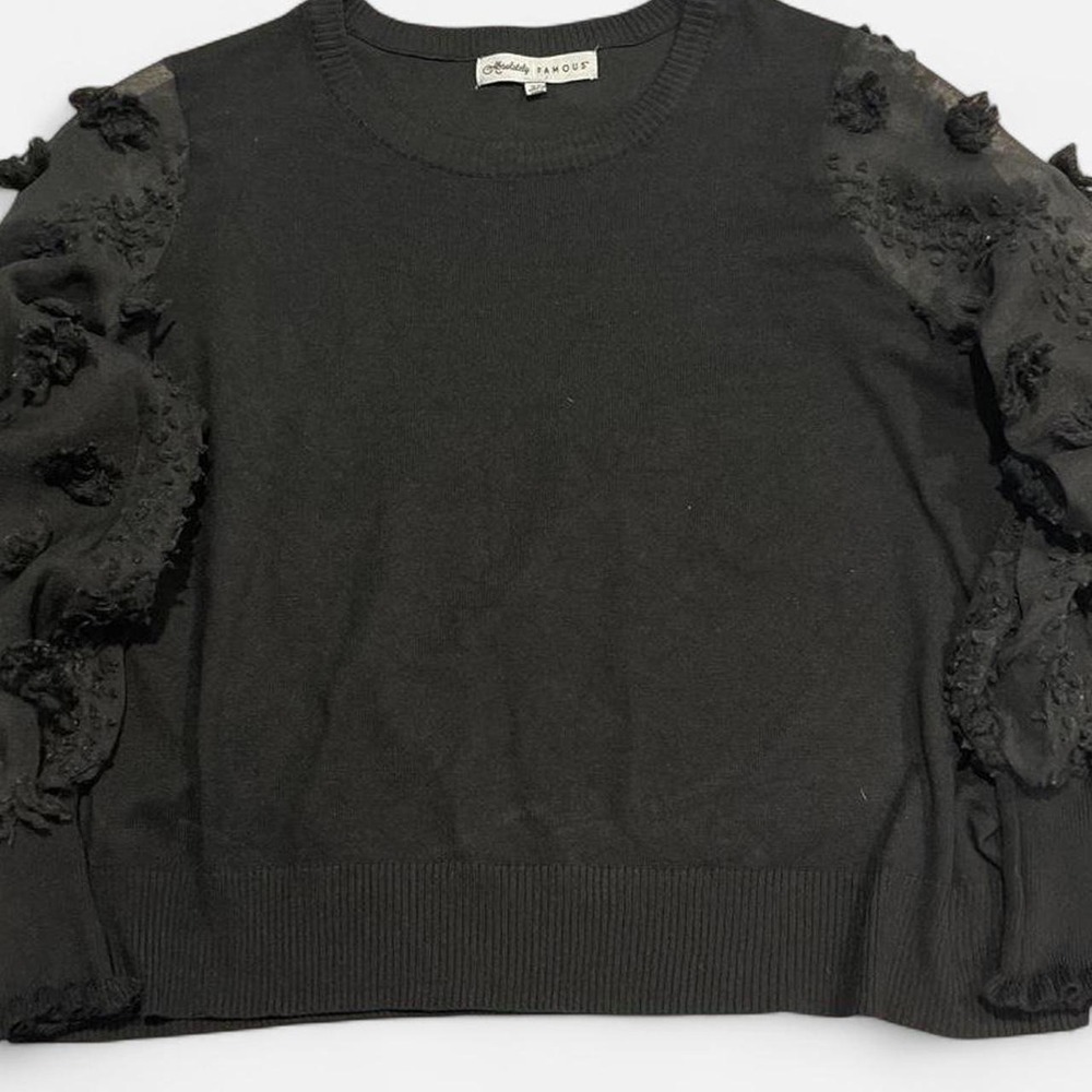 Absolutely Famous Black Sheer Floral Applique Sleeve Knit Sweater Plus Size 3X